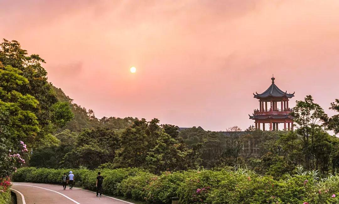 隐藏在梧桐山里的世外桃源,深山独门独户世外桃源