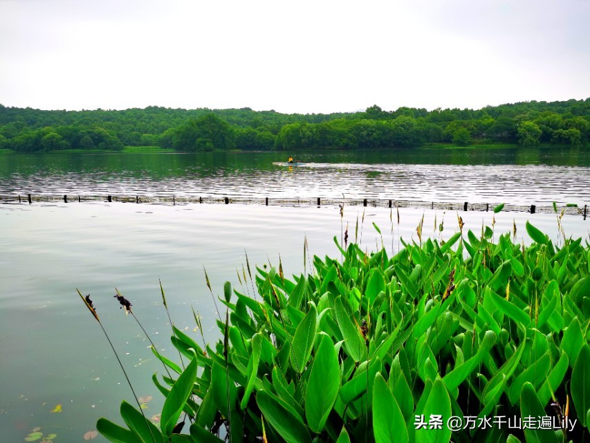 杭州不为人知的世外桃源,杭州幽静的去处