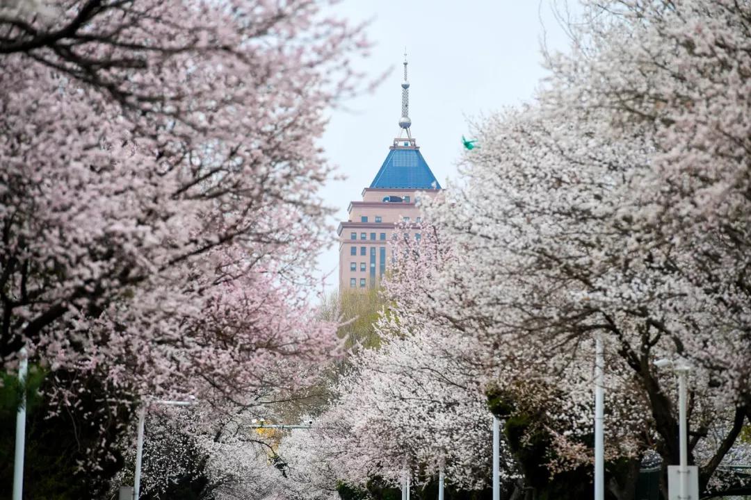 东北三省最适合宜居的城市,东北三省宜居养老城市