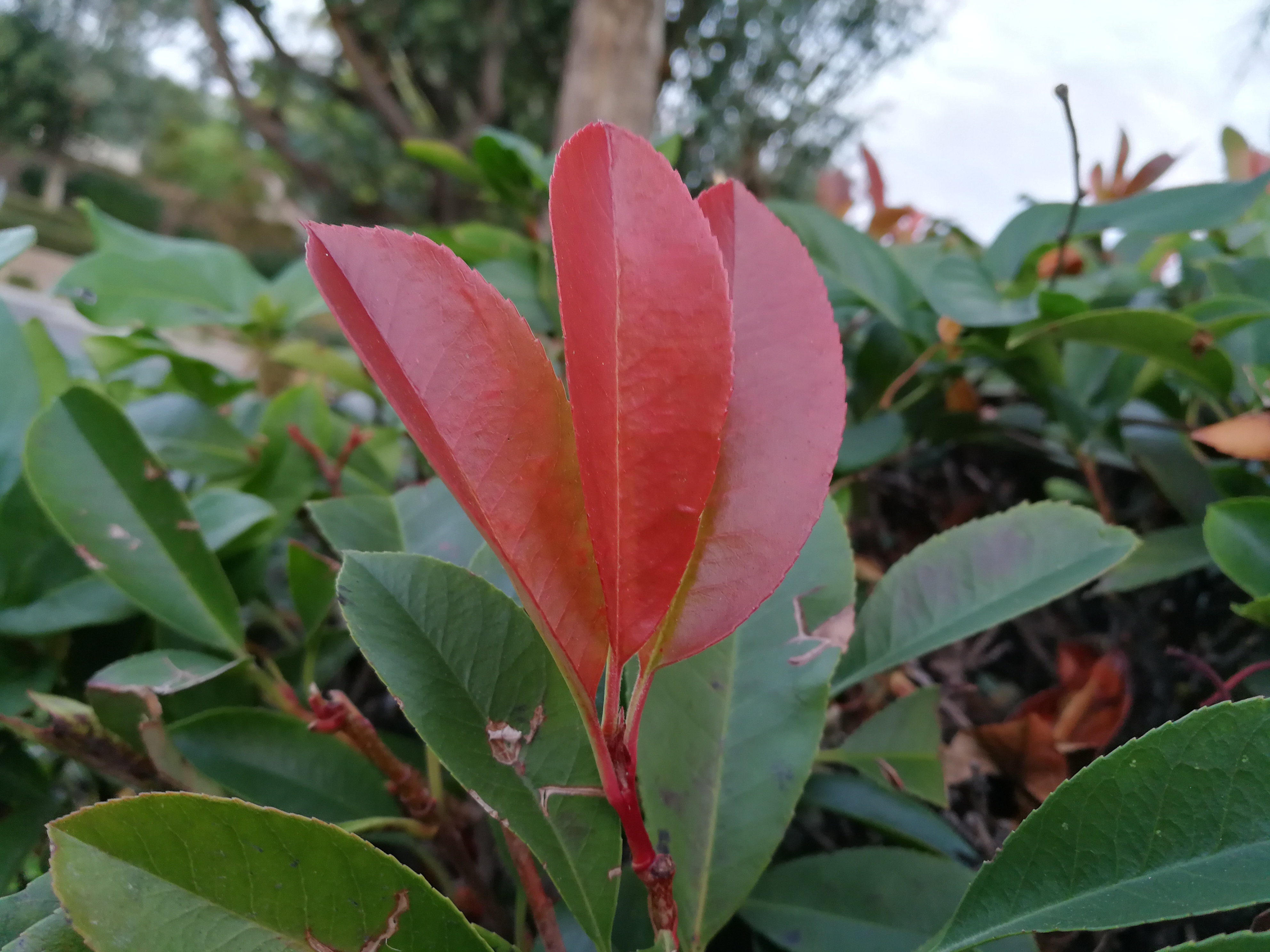 对证券财富规划师的认识,对证券理财的认识