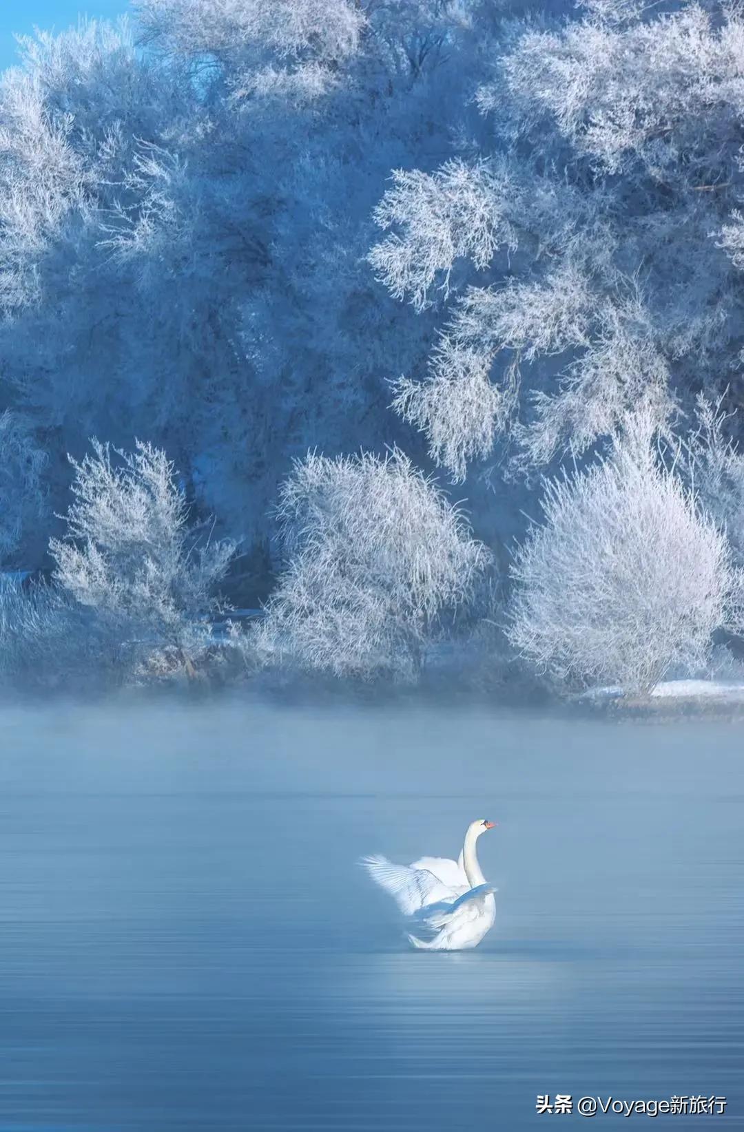 27个世界湿地日,世界湿地之都