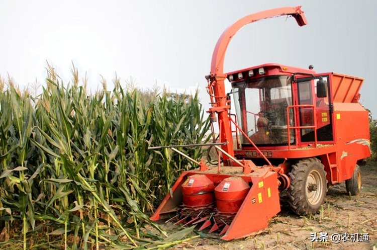 顶呱呱饲料收获机多少钱,顶呱呱青饲料收获机