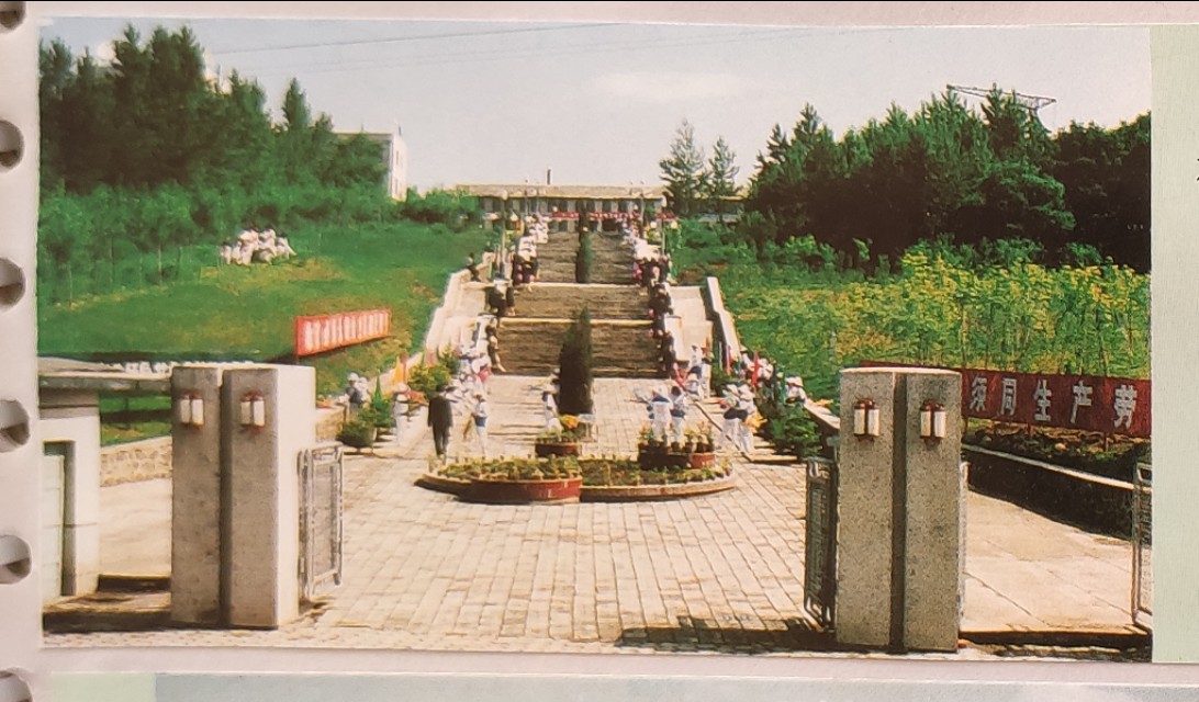 心中常驻芳华毛阿敏原唱,心中常驻芳华