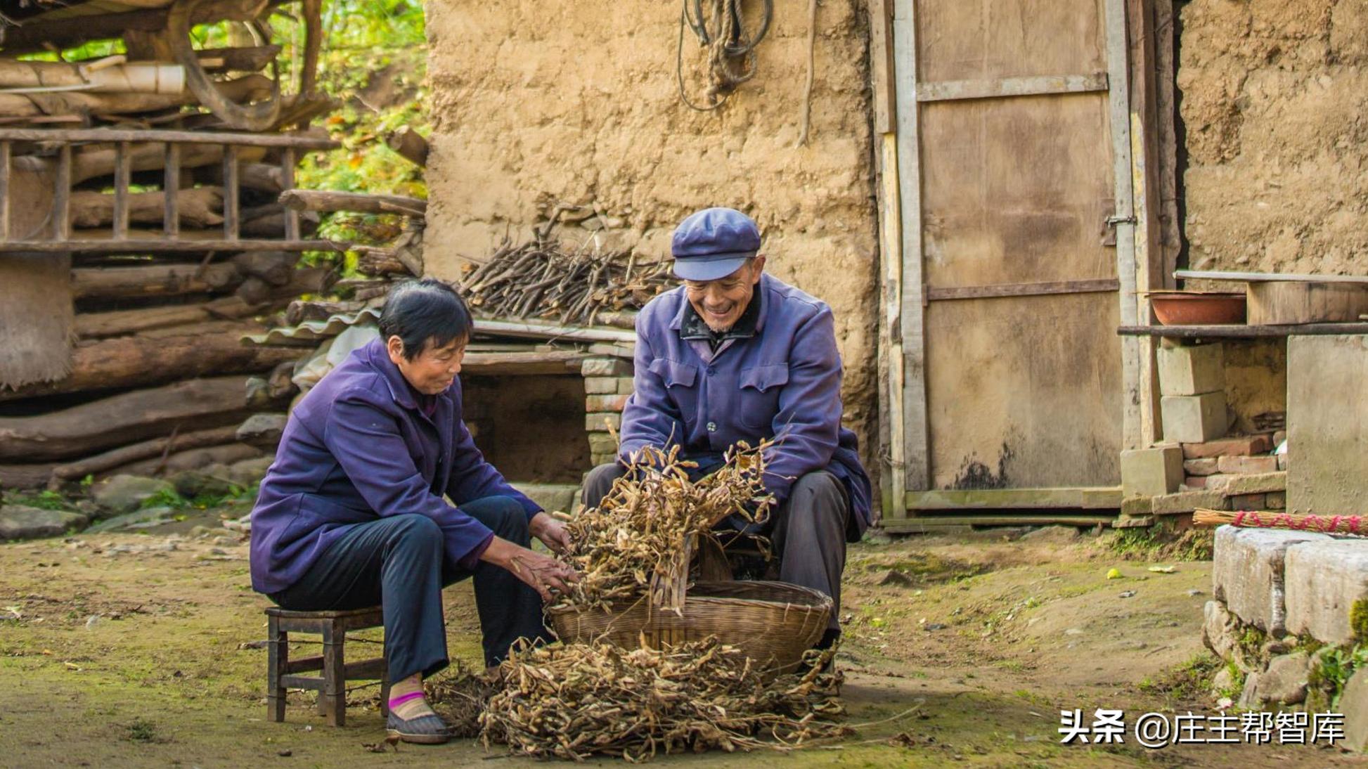 民宿项目开发流程,民宿开发手续办理
