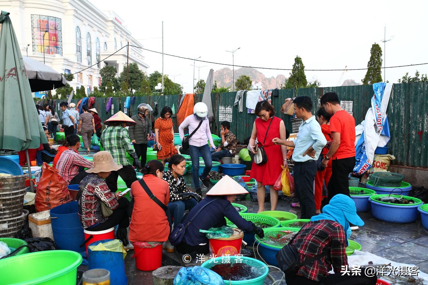 去越南下龙湾玩为什么都要自费,越南下龙湾优惠