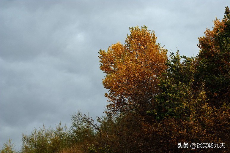 诗经中包含简和兮的诗句,诗经精选佳句