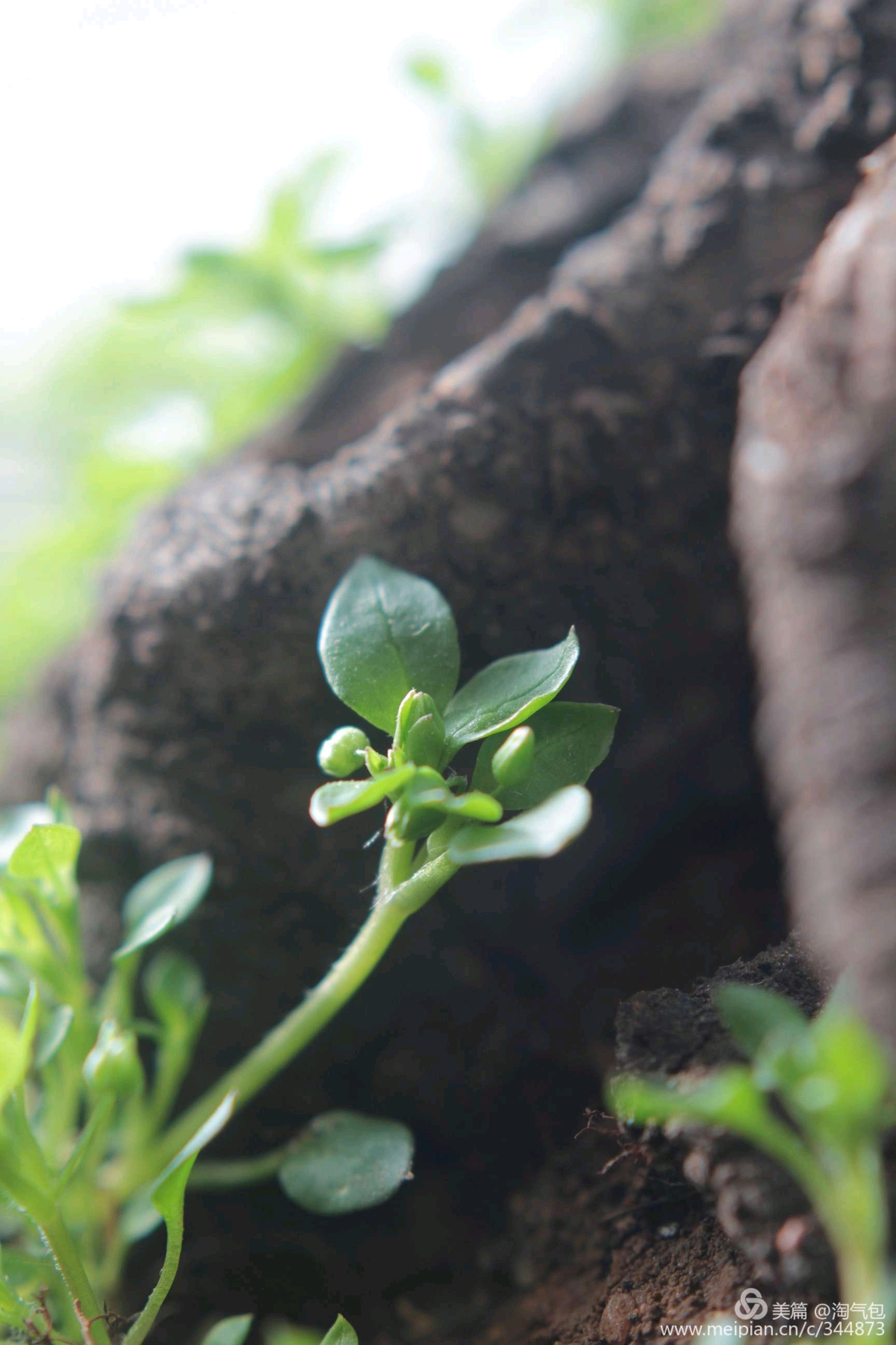 高情商的人如何解决心理难题,放下烦恼和焦虑让心回归平和