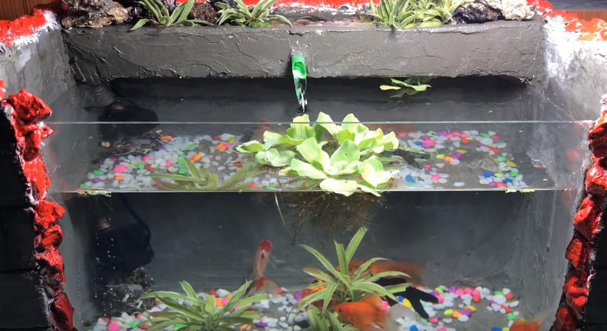 在家自做泡沫箱鱼缸,泡沫箱制作鱼缸养鱼