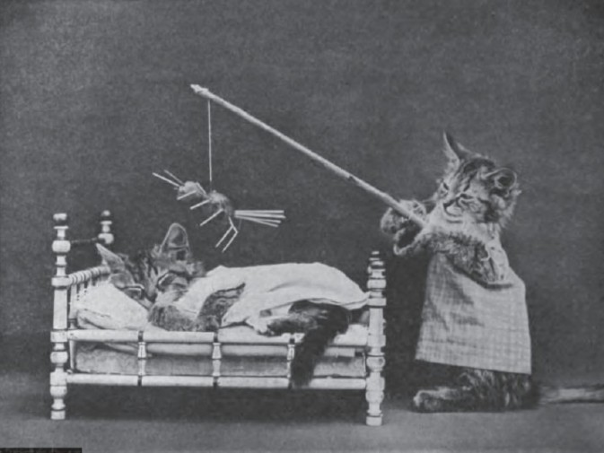 灏忕嫍灏忕尗鍖栬韩浜虹被,灏忕尗灏忕嫍鐢诲