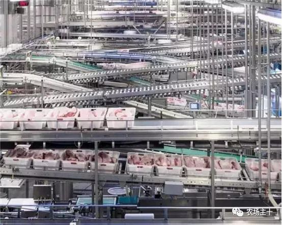 养猪场市场容量或变化趋势有哪些,养猪场的市场前景