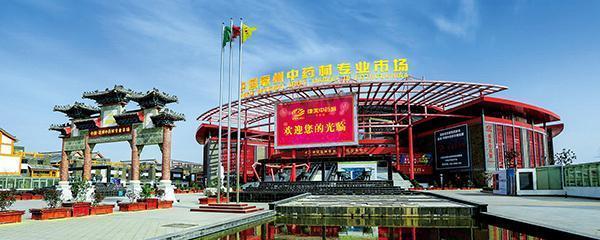 各大药材市场快讯：太子参、陈皮、瓜蒌、红花、桑叶、金银花3.5