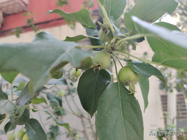 一加7测评游戏,一加7优点和缺点