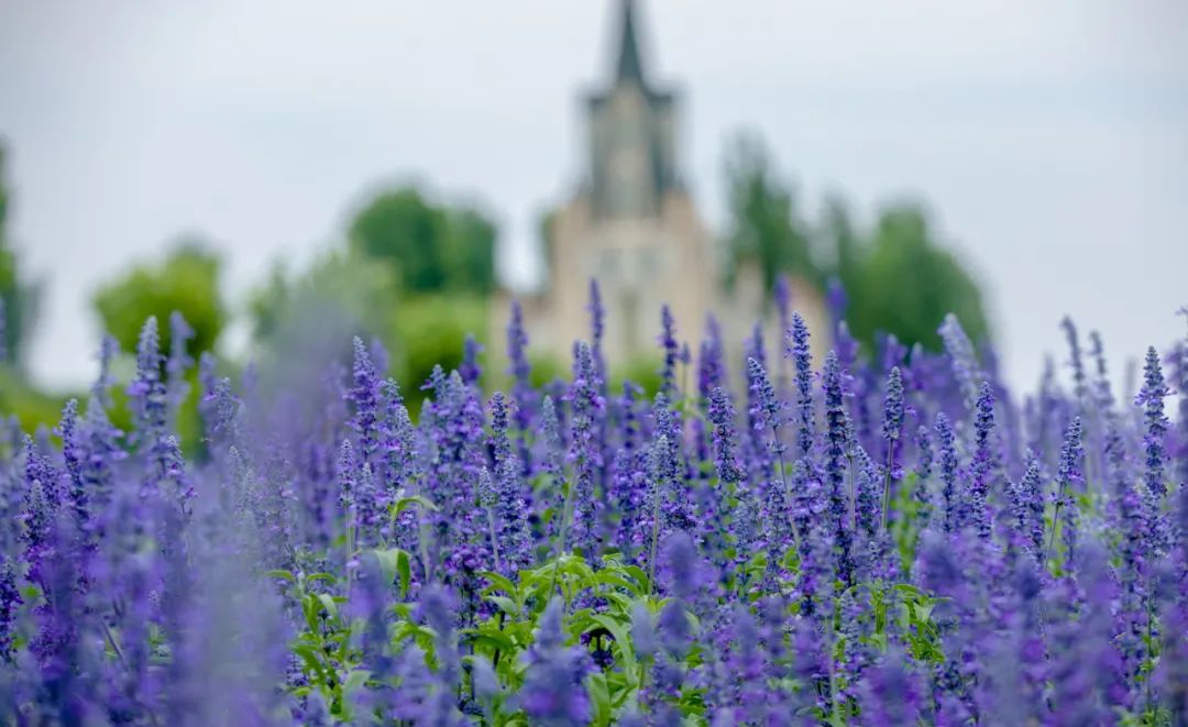 在济南花式避暑，一见“清”心！只需一瞥，便足以把酷夏原谅…