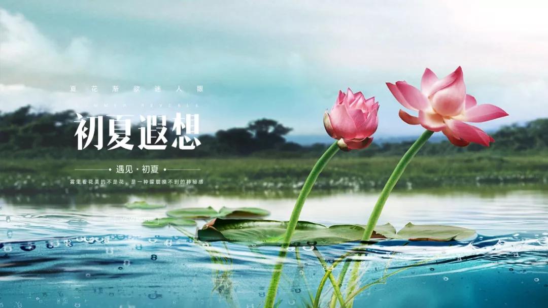 干货整理九个ppt实用小技巧,有哪些技巧可以提高ppt的制作速度