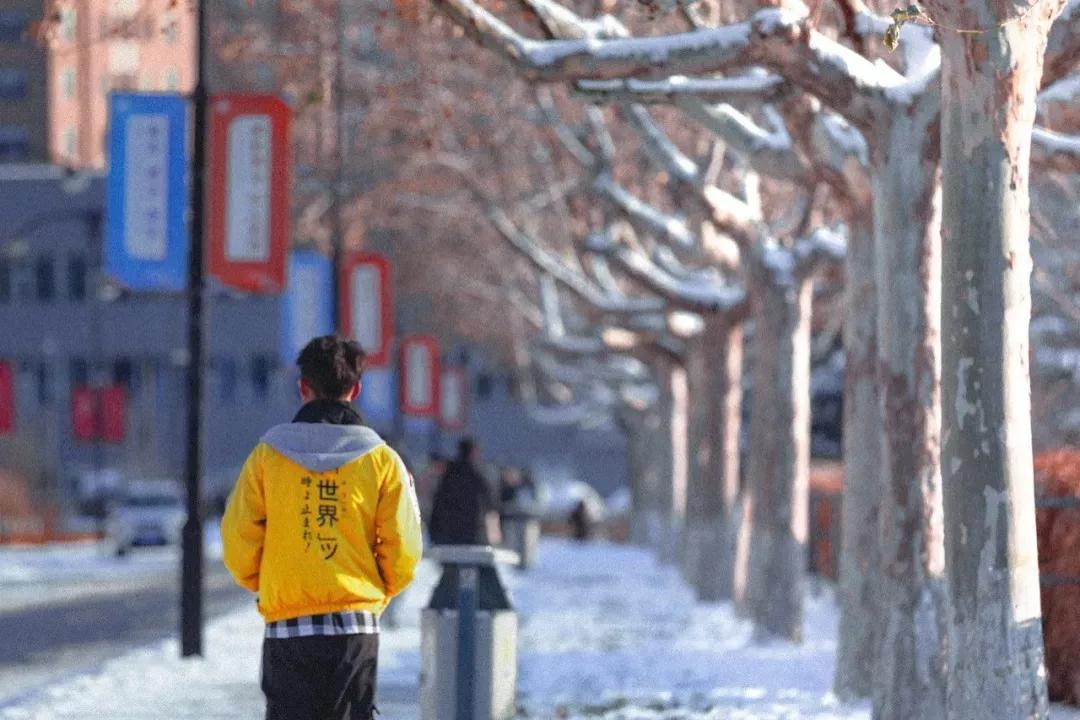 辽宁省民办大学（二）大连东软信息学院