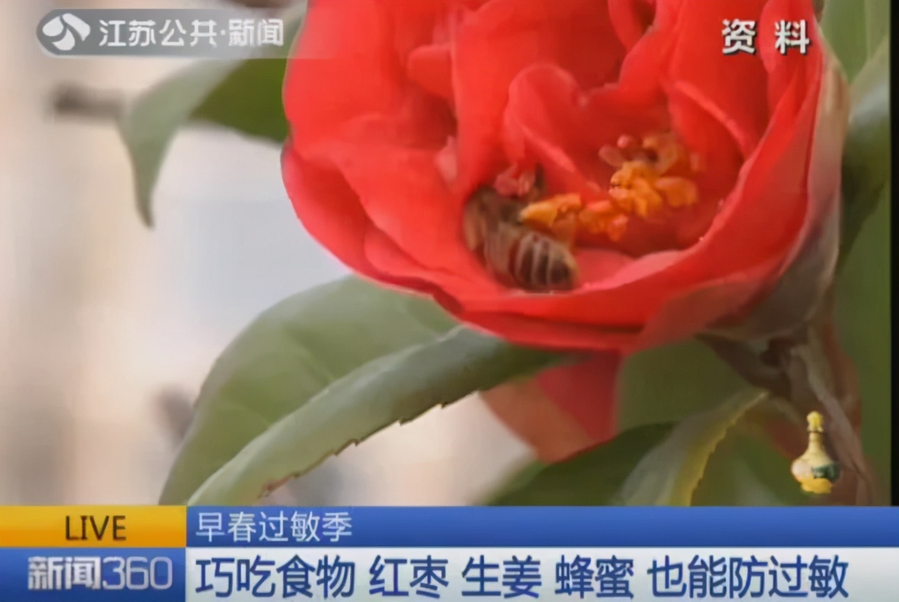 安发甘诺宝力的效果真实性有多强,安发甘诺宝力能调理精神分裂症吗