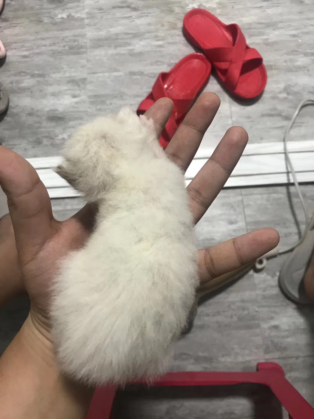 全职妈妈10万零花钱,全职妈妈5年零收入