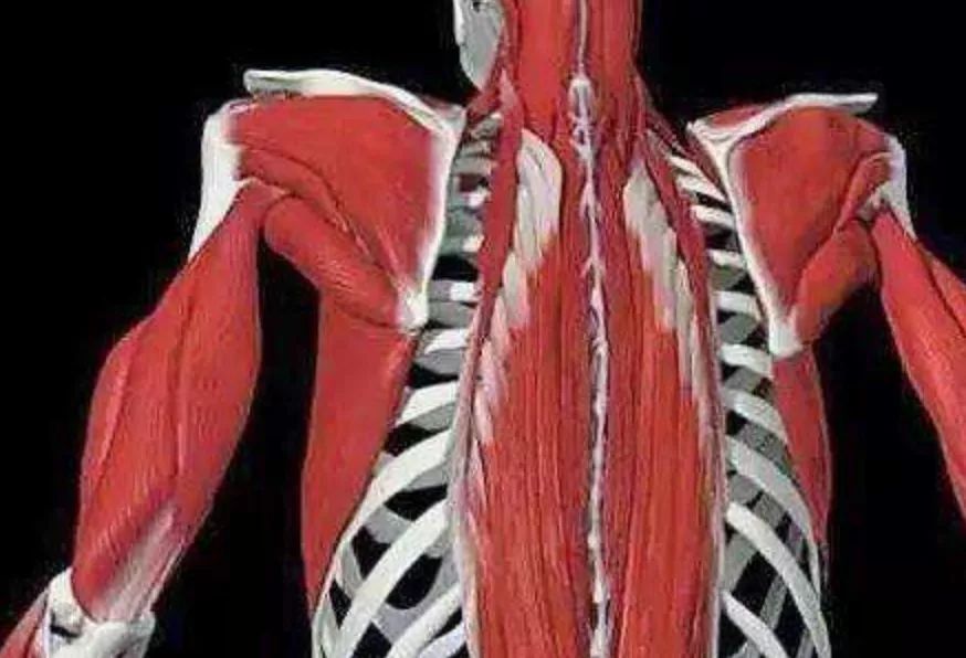 当妈后腰疼怎么缓解,妈妈腰疼的厉害怎么缓解