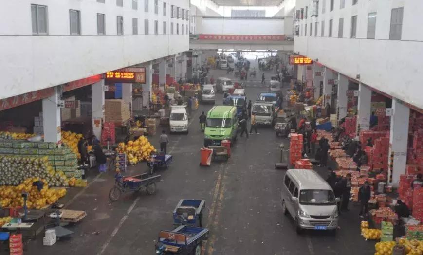 广州进口水果青提,青提水果大概多少钱