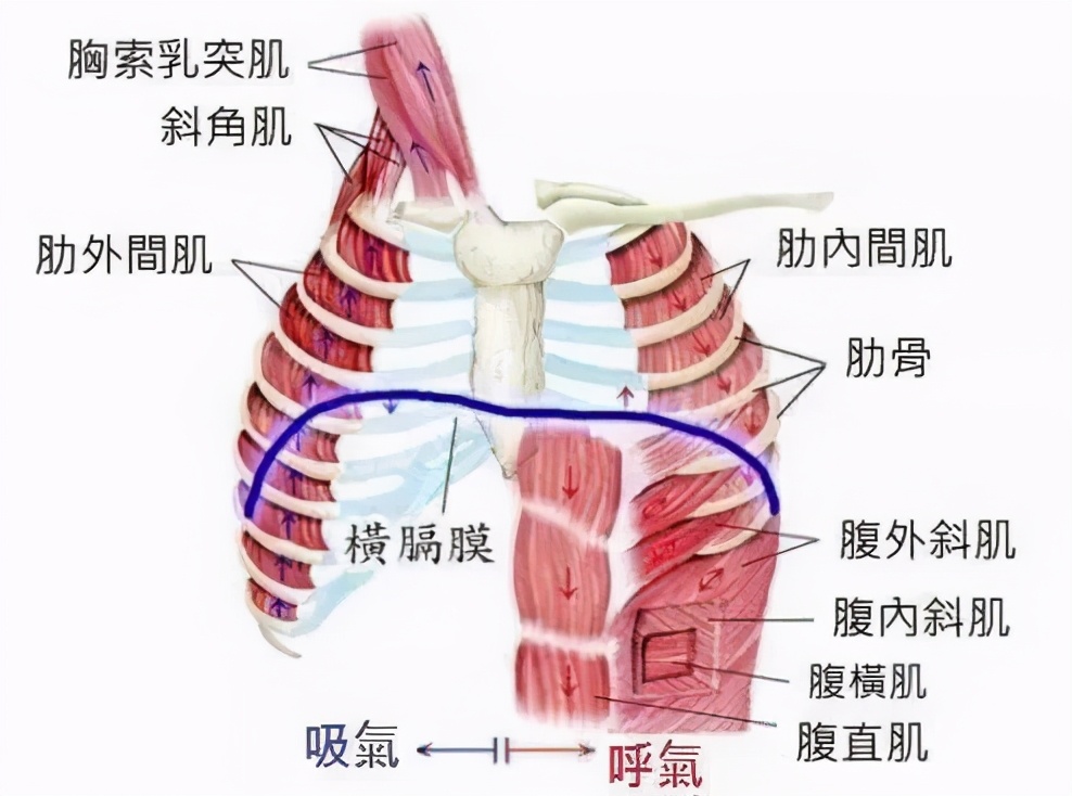 脑卒中肺炎如何治疗最好,脑卒中并发肺部感染