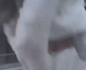 肖战花生没扔进嘴里还嚼了几下,肖战演技眼神魅惑