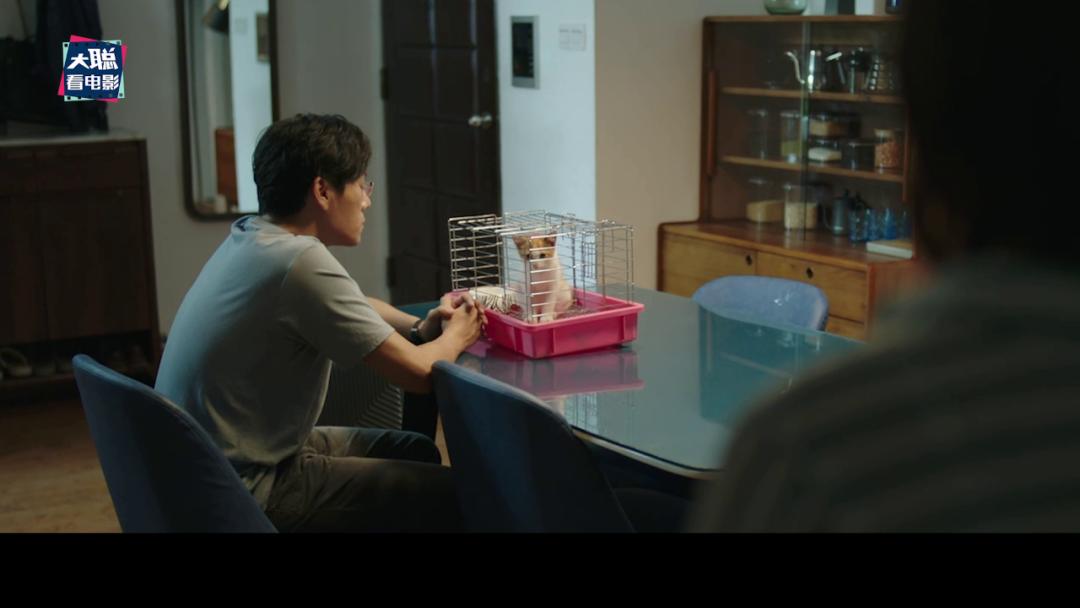 《隐秘的角落》象征含义和结局探讨，每个动物都有它的意义