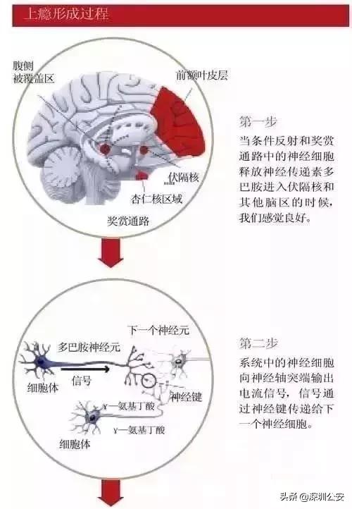 知识点有什么,知识点的重要性