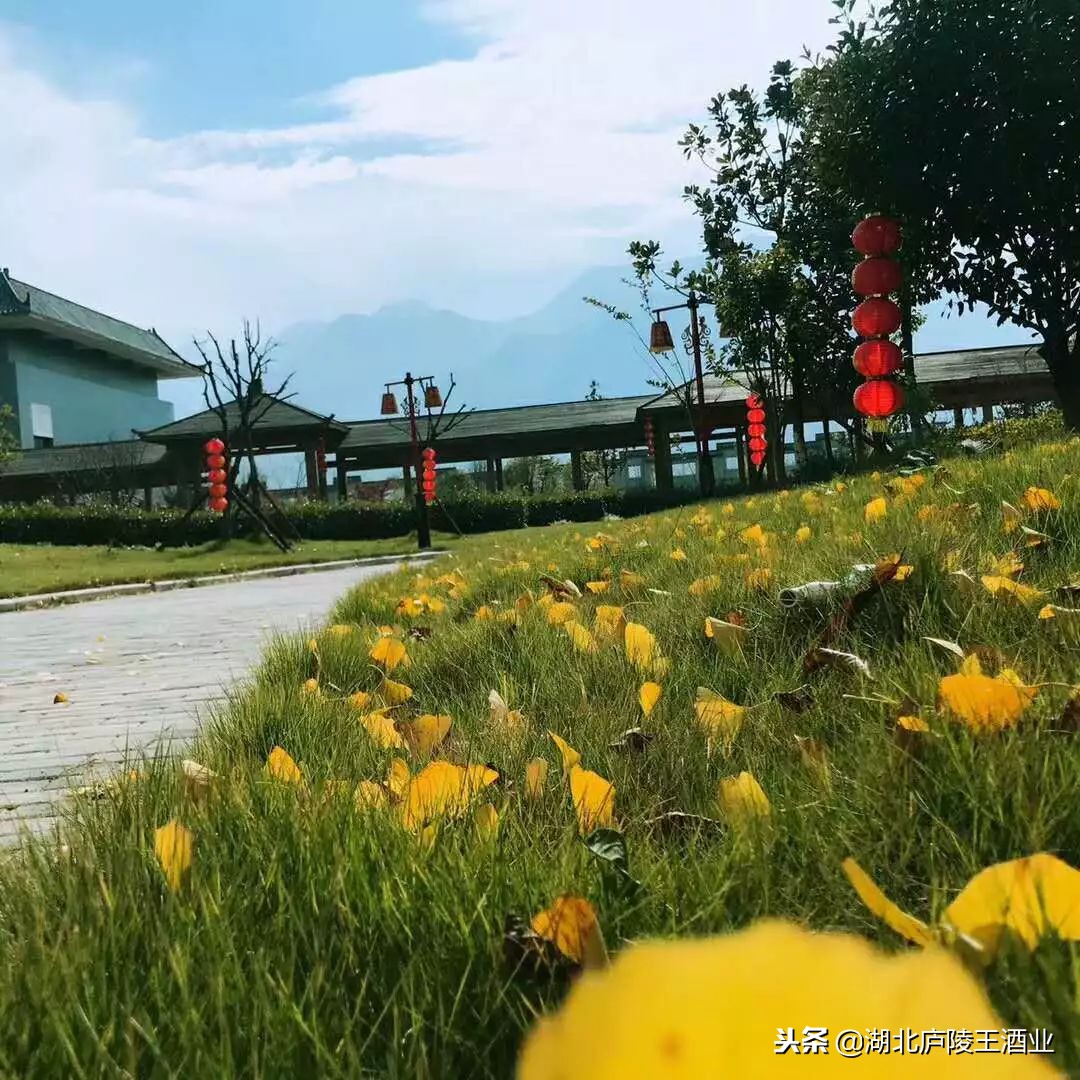 从这里穿越唐朝，在黄酒读懂庐陵王