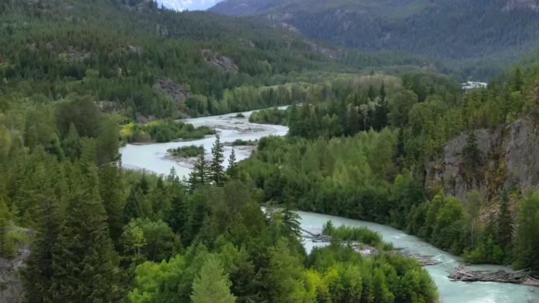 豆瓣2.5分神作,豆瓣9.5分的神作不该如此小众