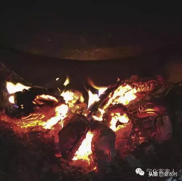 孕妇摘果子来年不结果的科学依据,孕妇上树摘果子