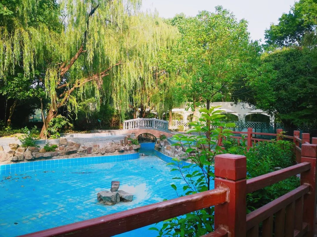 十二年一贯制，升学上牛校！这所老牌民办学校竟有野生鸟类观测园