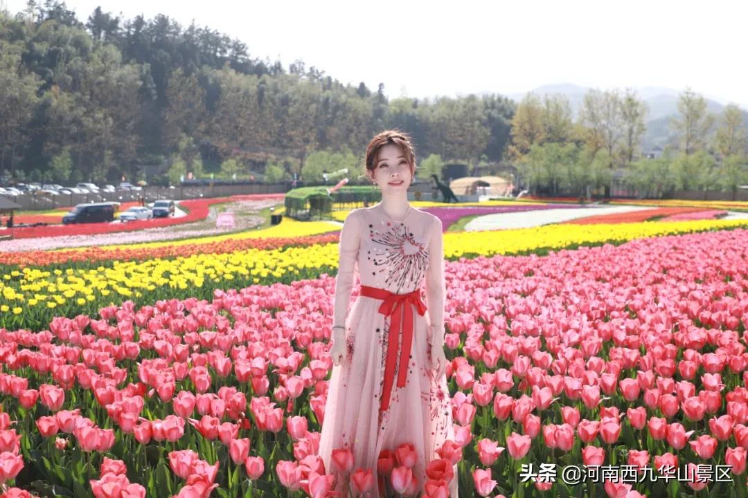 西九华山网红景区,西九华山冯提莫