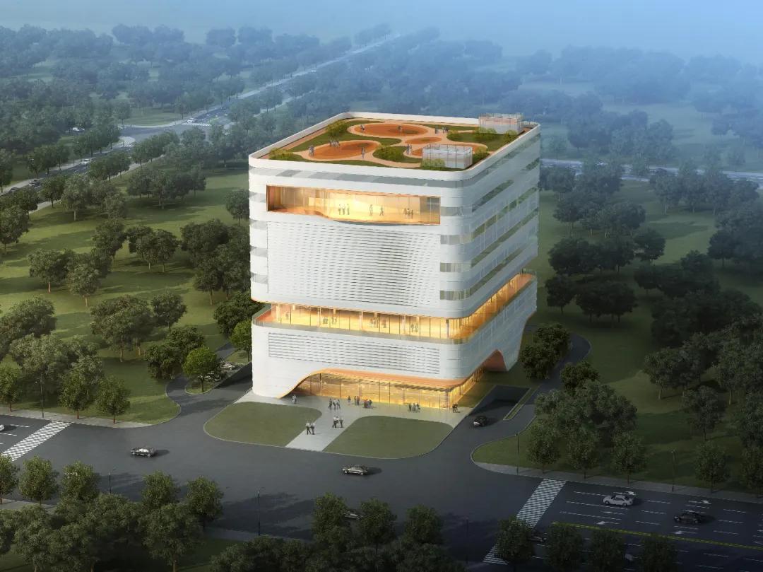 杭州之江高中2020录取分数线,杭州之江中学2020中考情况