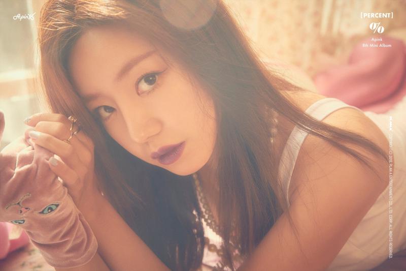 一百团女团成员,apink出道时的介绍