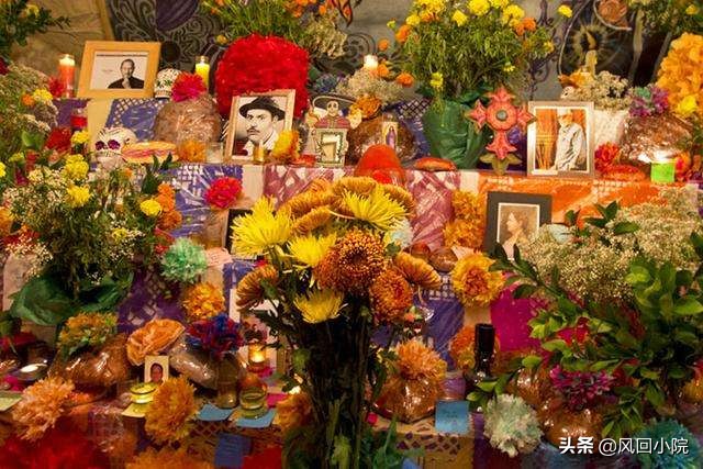 吸血鬼和人类恐怖故事,真实鬼故事吸血鬼