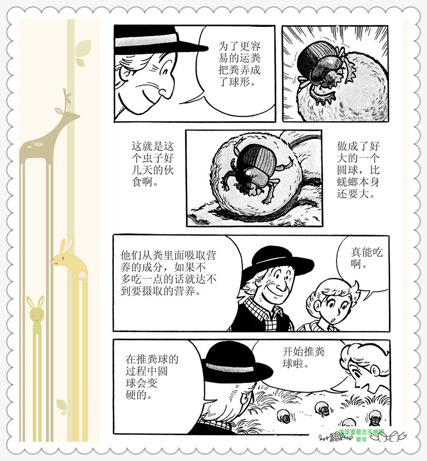 昆虫记法布尔动画片,昆虫记法布尔全套