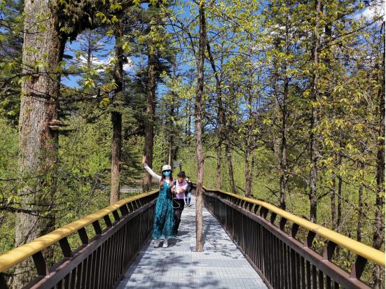 海螺沟燕子沟四日游,海螺沟燕子沟风景区