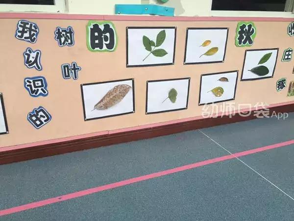 绉嬪ぉ涓婚鍖哄煙娲诲姩璁捐鏂规,绉嬪ぉ涓婚璇剧▼娲诲姩鏂规璁捐