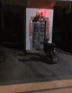 回家的路上看到这么多钱，背包都装不下啊，现在该怎么办