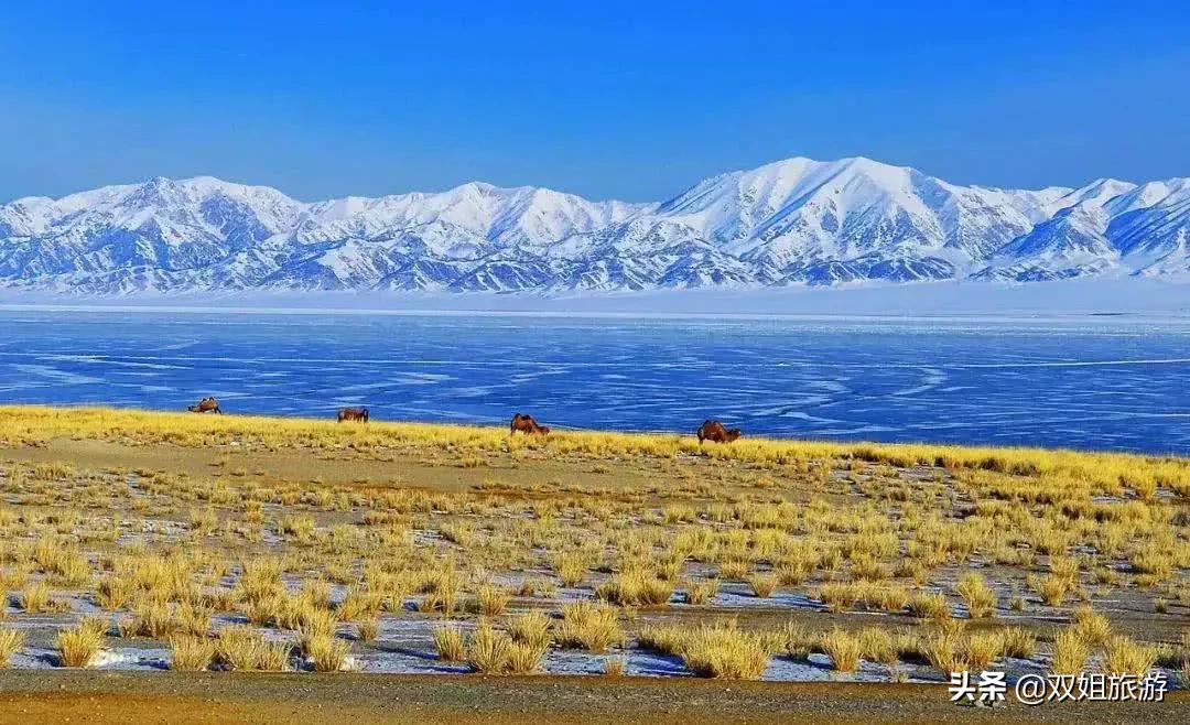 户外徒步注意事项应急措施,户外徒步露营安全常识