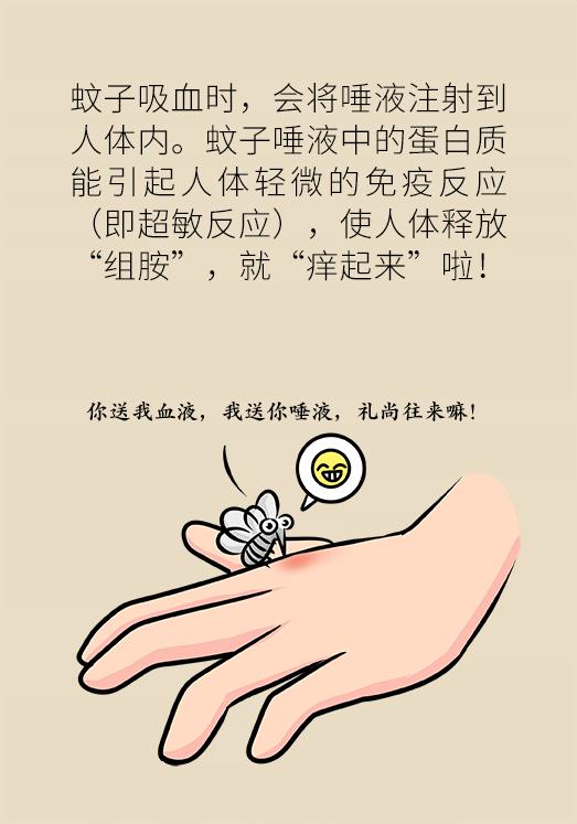 被蚊子吵的睡不着怎么安慰,被蚊子吵得睡不着发的朋友圈