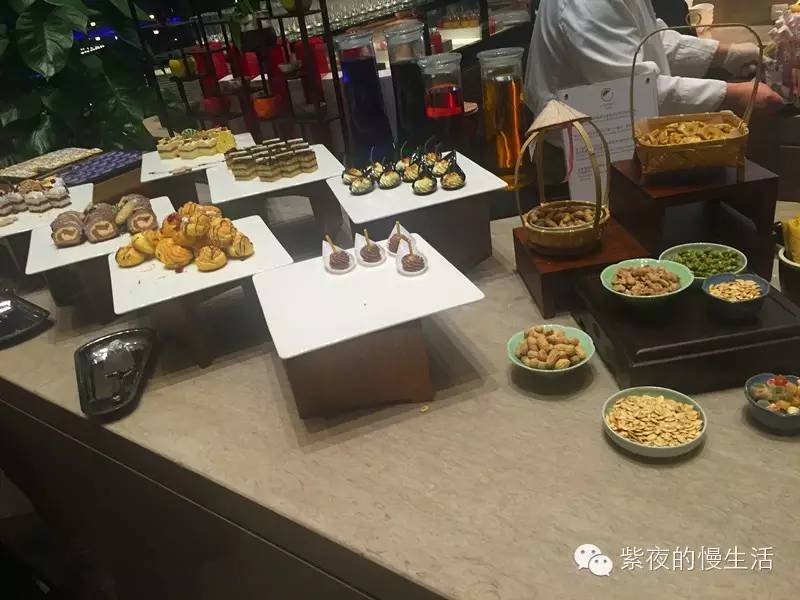 苏州带宠物去的古镇,苏州小众宠物乐园推荐