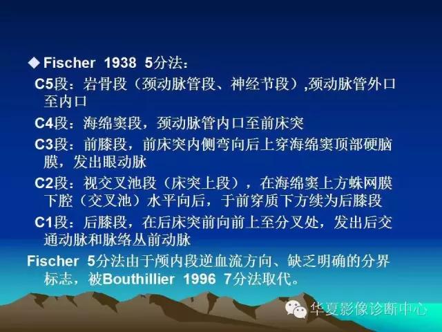 小脑血管解剖分段,脑血管影像解剖讲解
