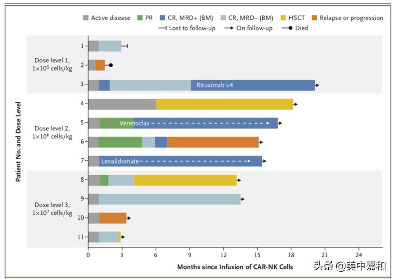 CARNK治疗完全缓解率达73%，副作用小、容易制备还不挑配型！