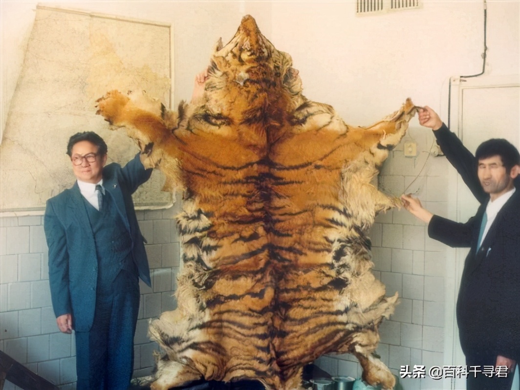 最大内陆国计划让里海虎“秽土转生”,莱昂纳多曾发文支持