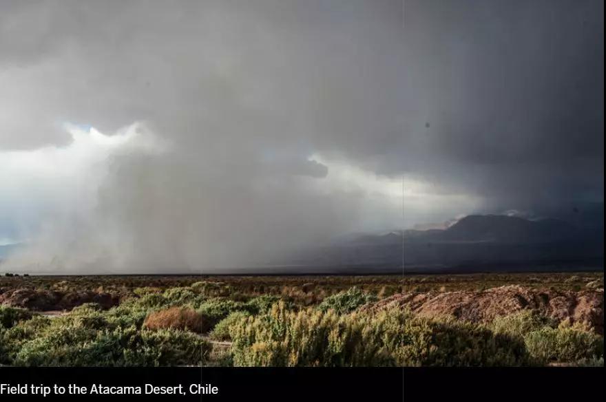 RCA、UAL隐藏专业看艺术如何拯救环境