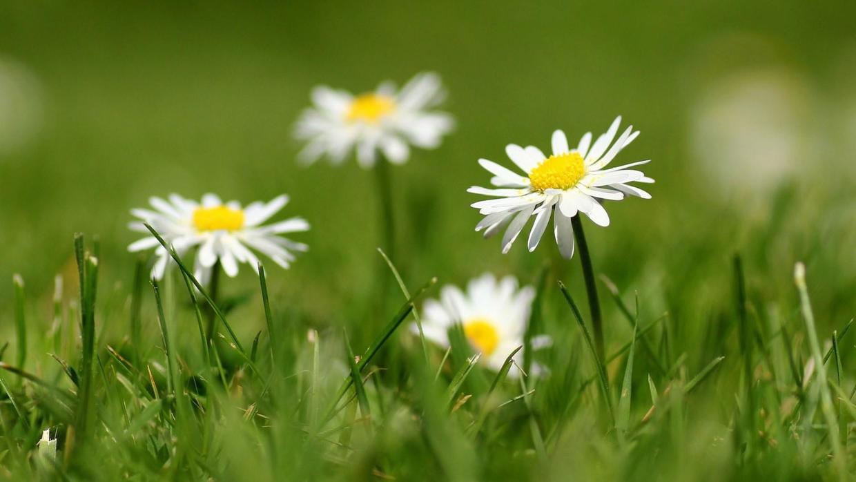 我要做你一生最爱的人,要成为你最爱的人女生版