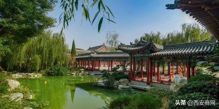 华夏文旅西安60岁以上免票景点,西安华夏文旅有什么玩儿的