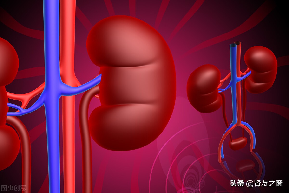 肾功能不全者如何服用维生素,慢性肾功能不全补钾么