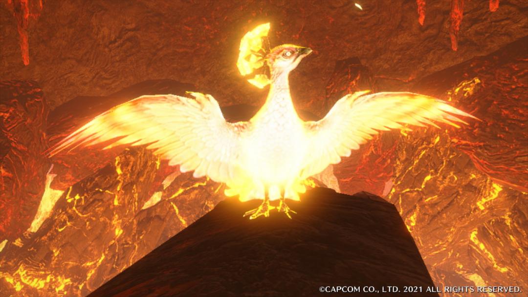 怪猎崛起艾露猫支援类型选什么好,怪猎冷知识